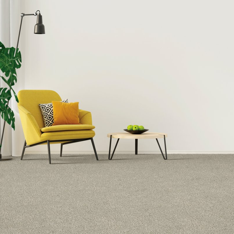 Inserra's Flooring Outlet providing stain-resistant pet proof carpet in Marcy, NY - Coastal Fashion II-Destin Beach